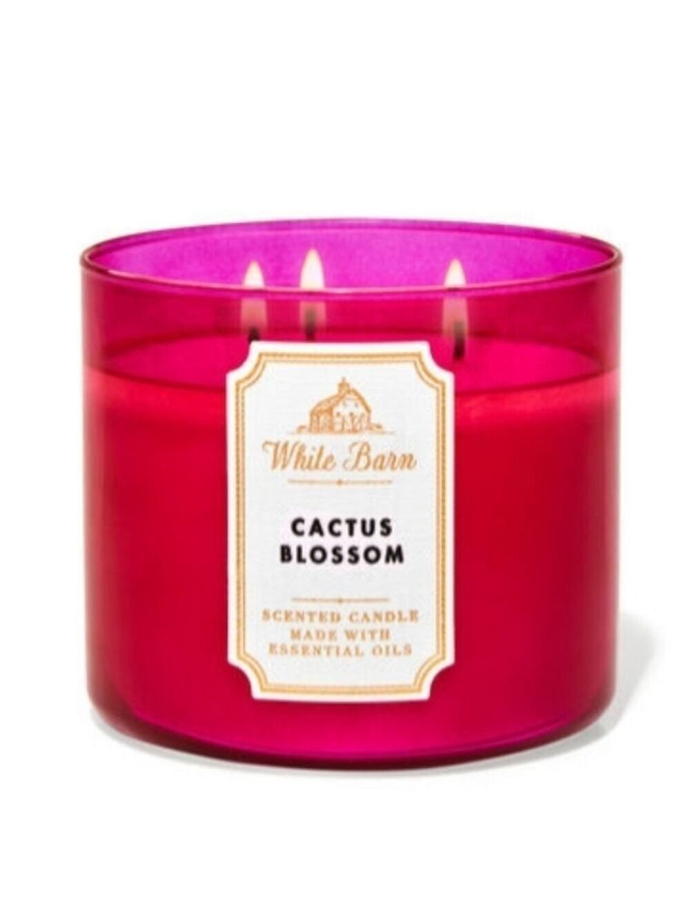 CACTUS BLOSSOM 3-WICK CANDLE